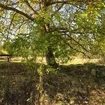 Hébergement de vacances Ferienhaus Steutz *