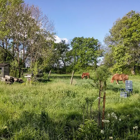 Ferienhaus Steutz 度假居 Steutz