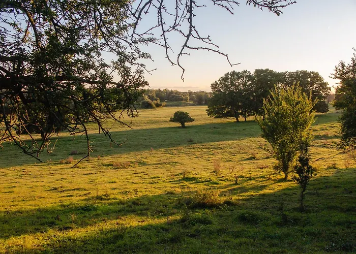 度假居 Ferienhaus Steutz Steutz