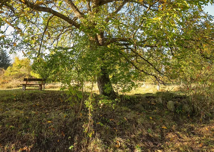 度假居 Ferienhaus Steutz *
